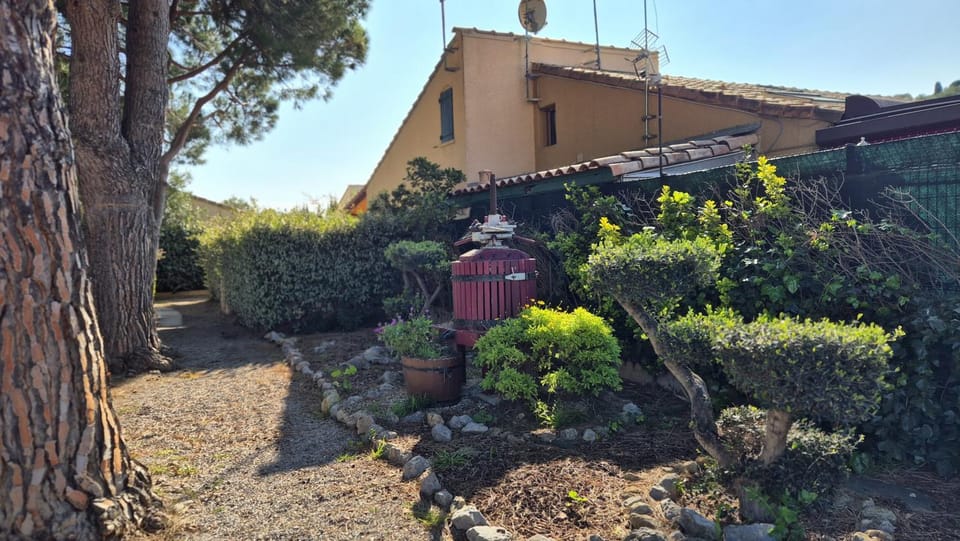 Day, Garden