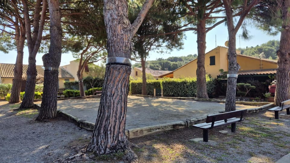 Day, Natural landscape, Garden