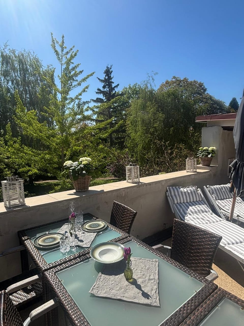 Ferienhaus für 8 Pers mit 4 Apartments, 2xSauna, Dampfbad, Dachterrasse, Weinkeller, 1A-Lage House in Rhineland-Palatinate