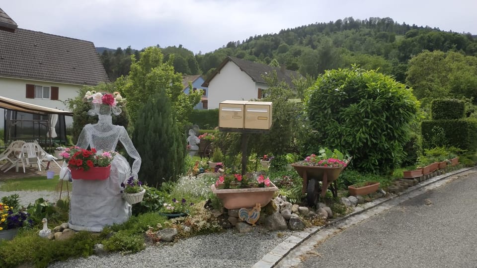 Garden view