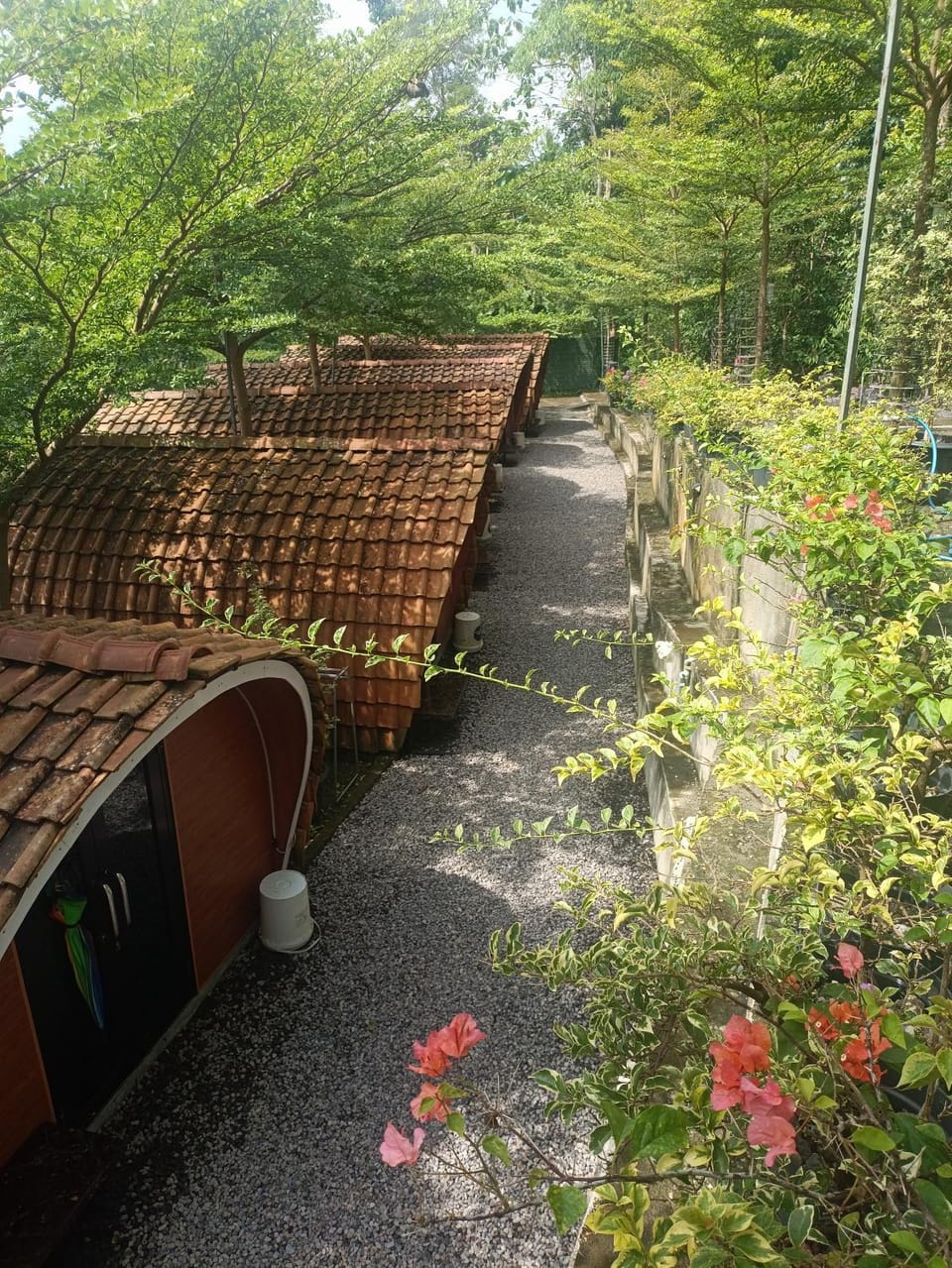Bitu Garden Luxury tent in Special Region of Yogyakarta