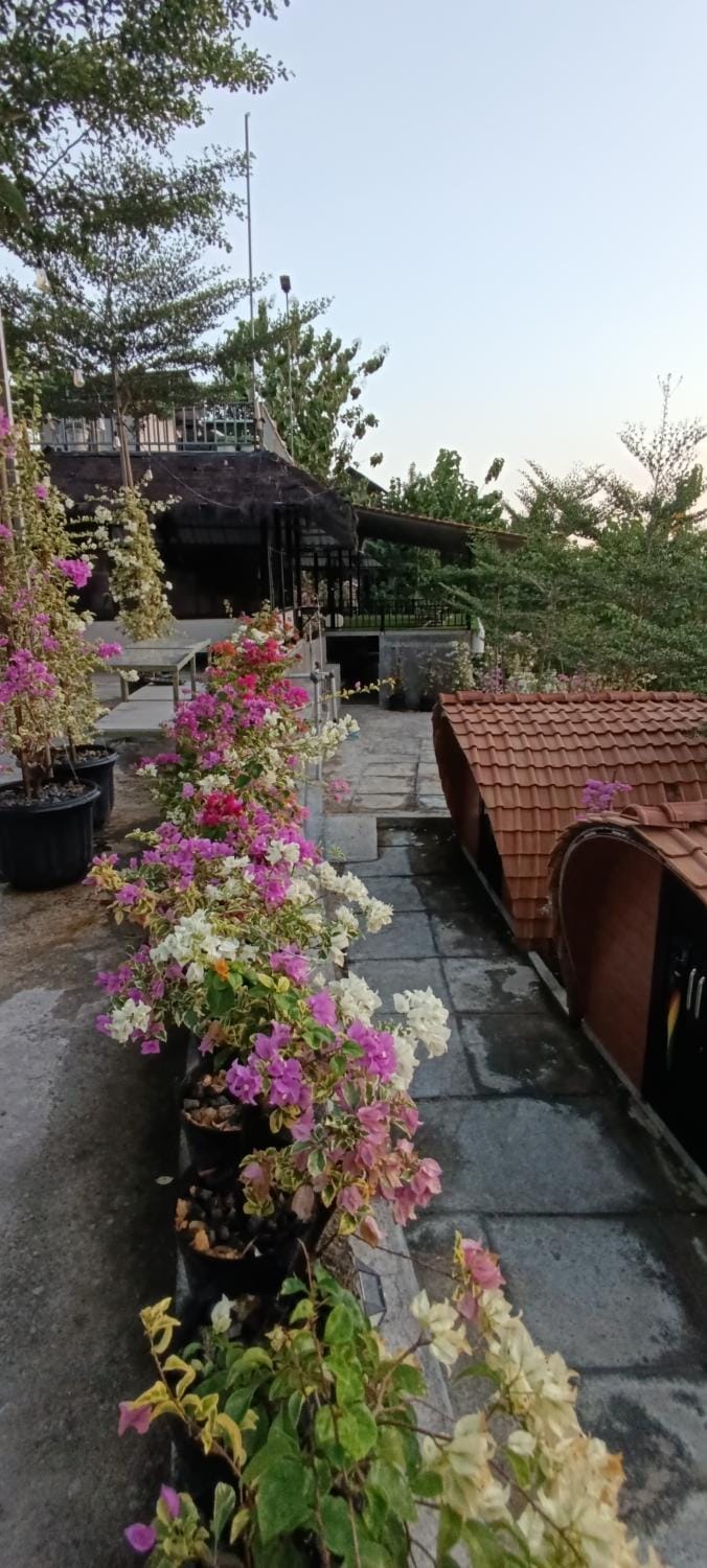 Bitu Garden Luxury tent in Special Region of Yogyakarta