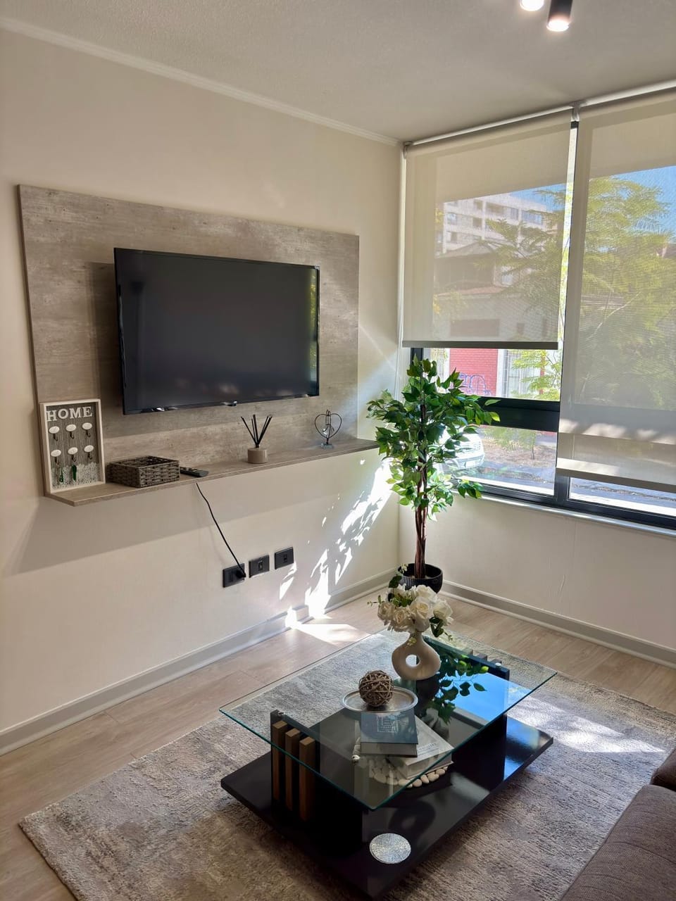 TV and multimedia