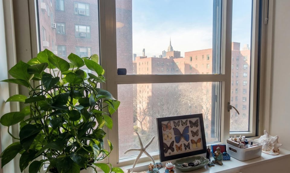 City view