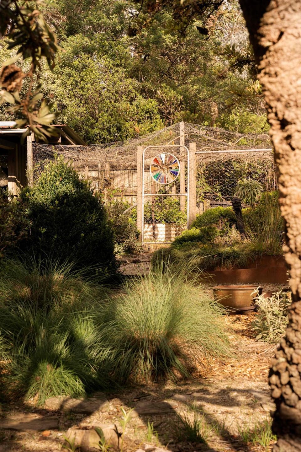 Halcyon House - A Hidden Bushland Retreat House in Katoomba