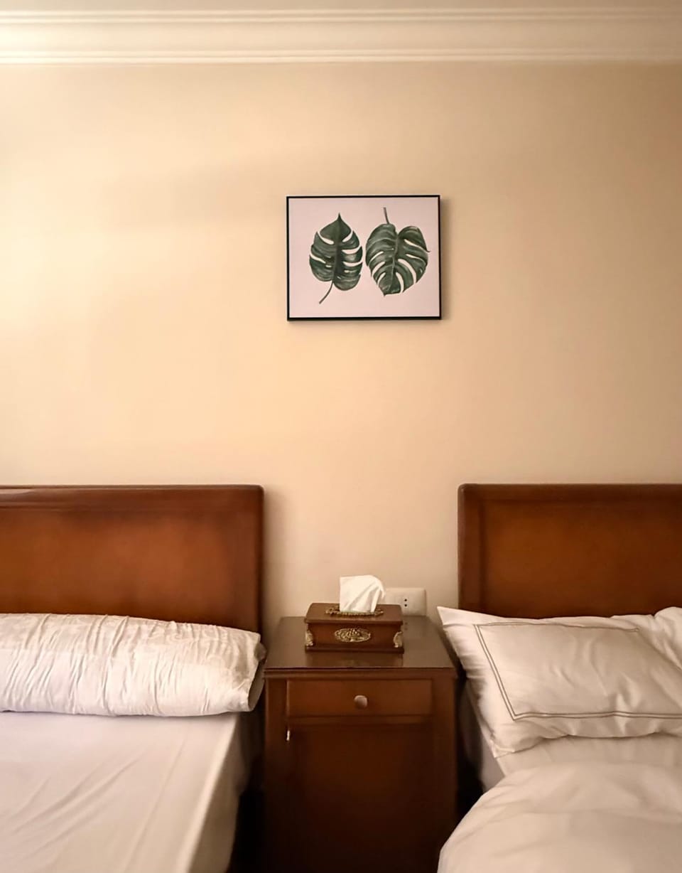 Cozy Studio in Dokki Apartment in Cairo