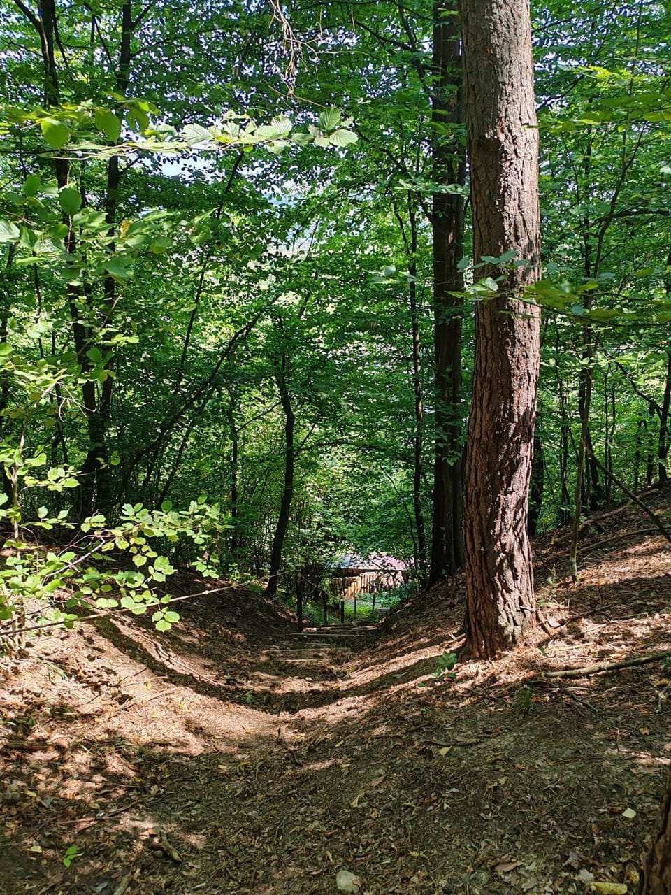 Natural landscape, Garden