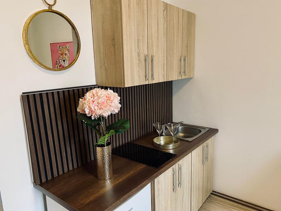 Kitchen or kitchenette, stove