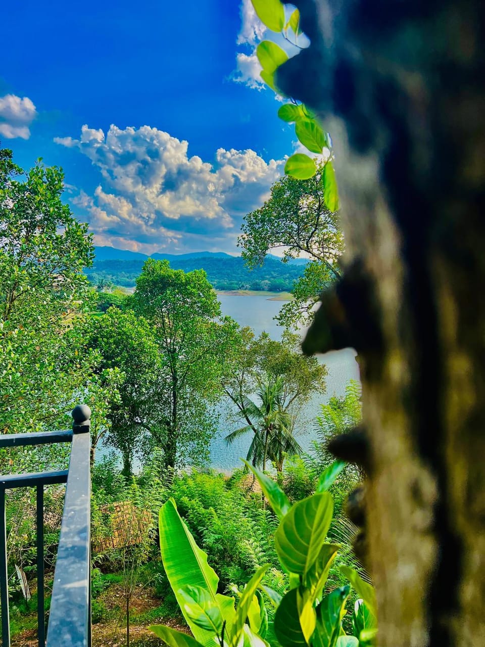 Day, Lake view