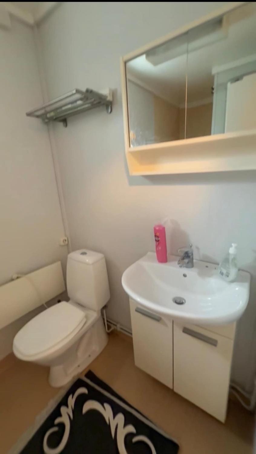 Studio apartment Apartment in Oslo