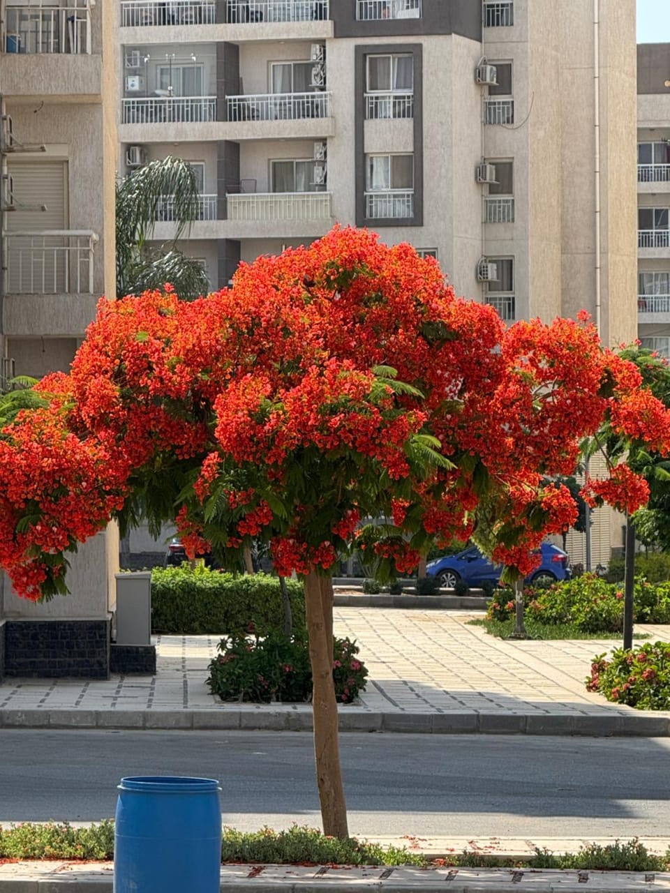 غرفة بنات للإيجار Vacation rental in Cairo Governorate
