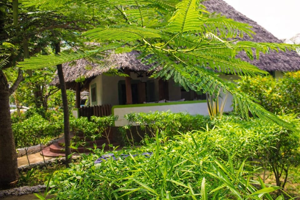 Elephant Villa Diani Villa in Diani Beach