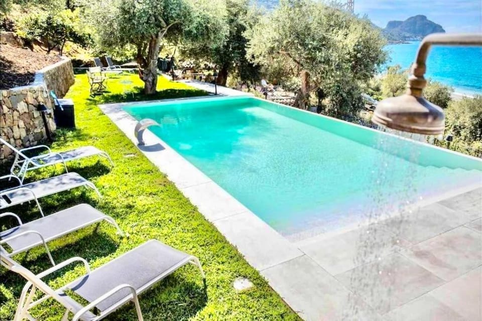 Garden, Swimming pool