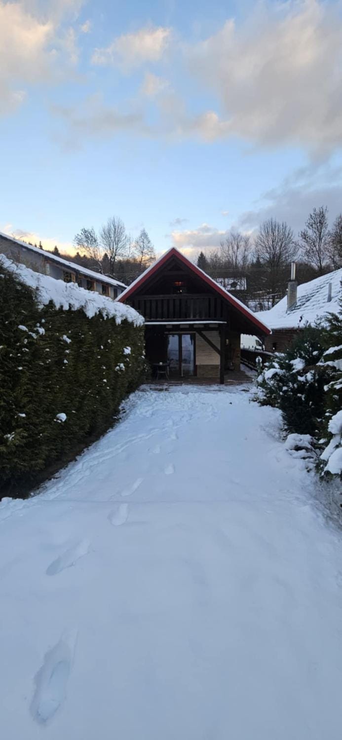 Winter