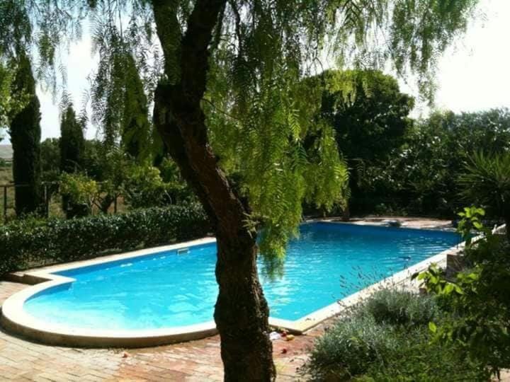 Garden, Pool view, Swimming pool