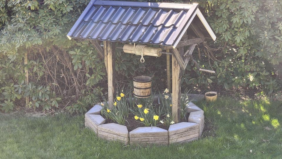 Patio, Garden, Garden view