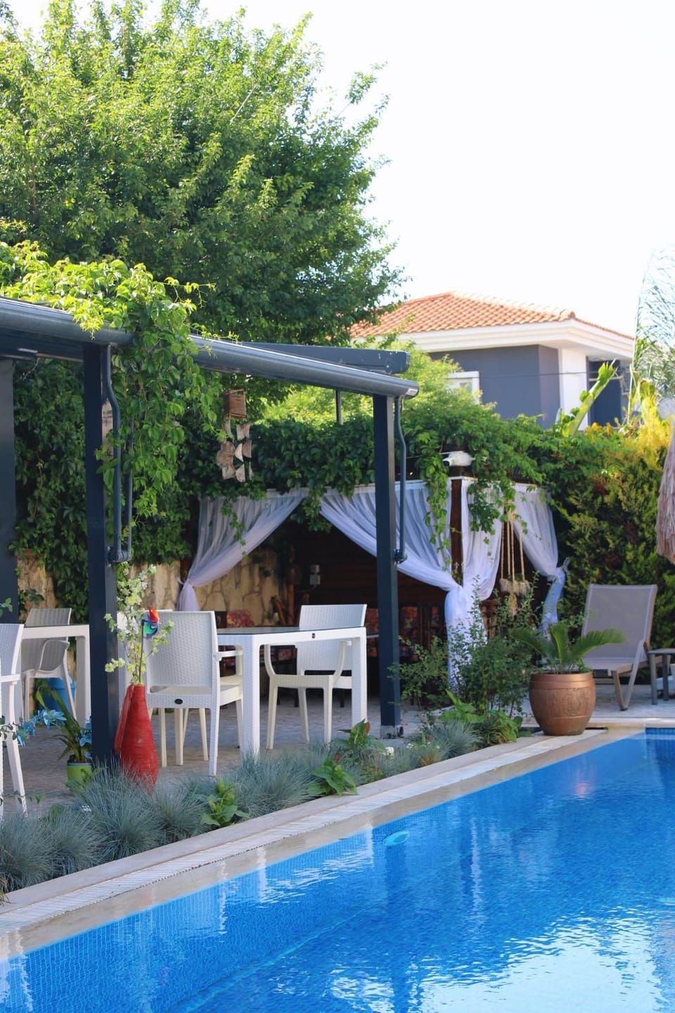 Patio, Garden, Garden view