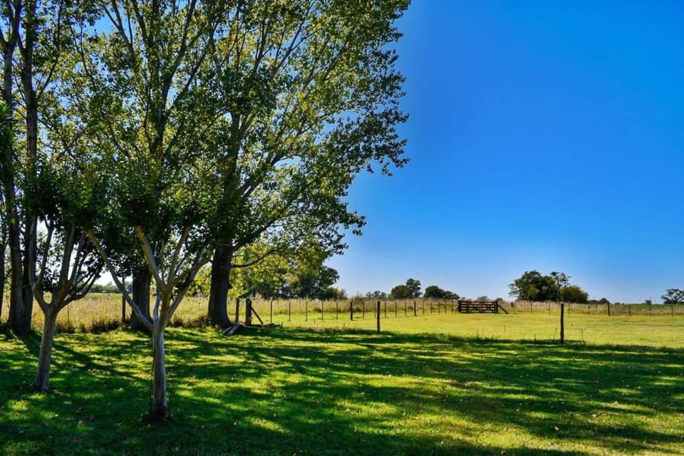 Garden, Garden view