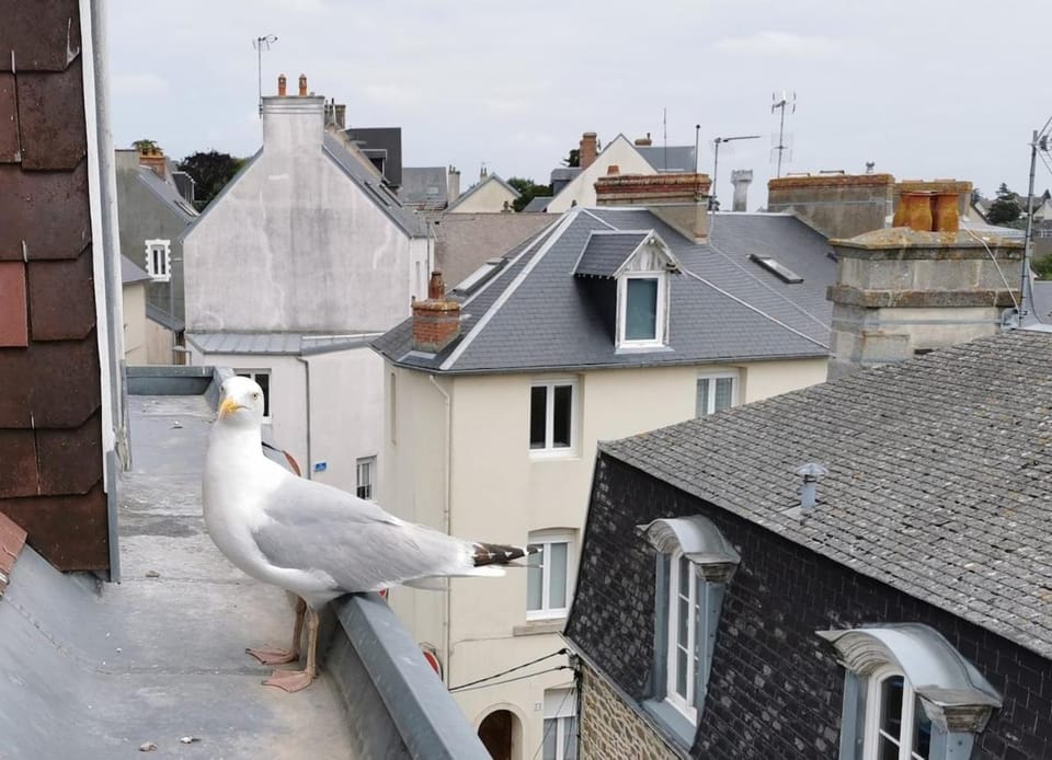 Le Bain de Mer, studio insolite, déco années 50 Apartment in Saint-Pair-sur-Mer