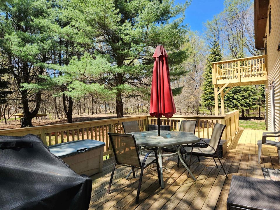 Saltbox Lodge - Game Room - Fireplace and Deck House in Tunkhannock Township