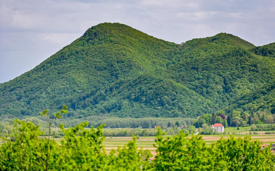 Neighbourhood, Natural landscape