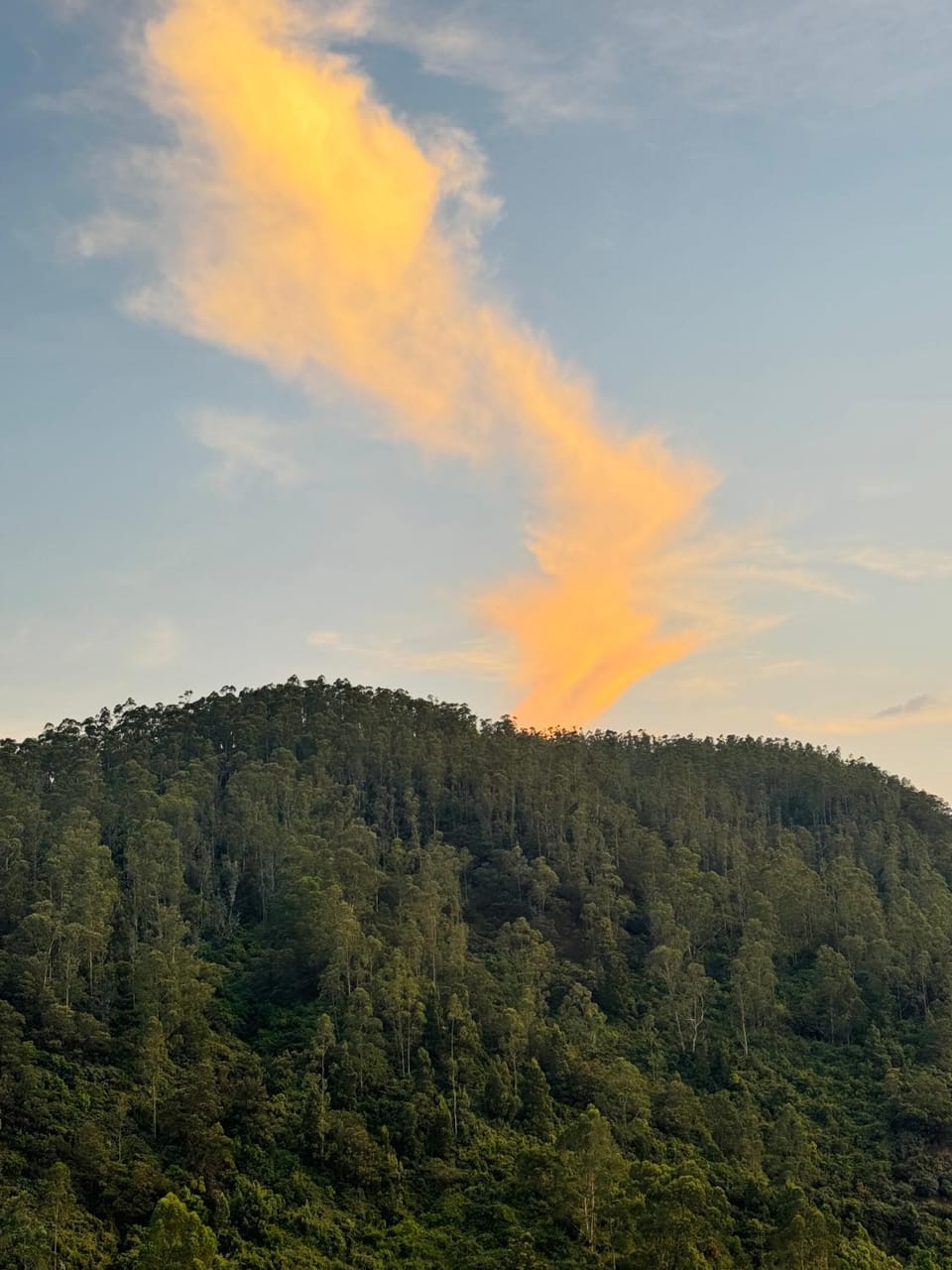 Montclair Villa in Ooty