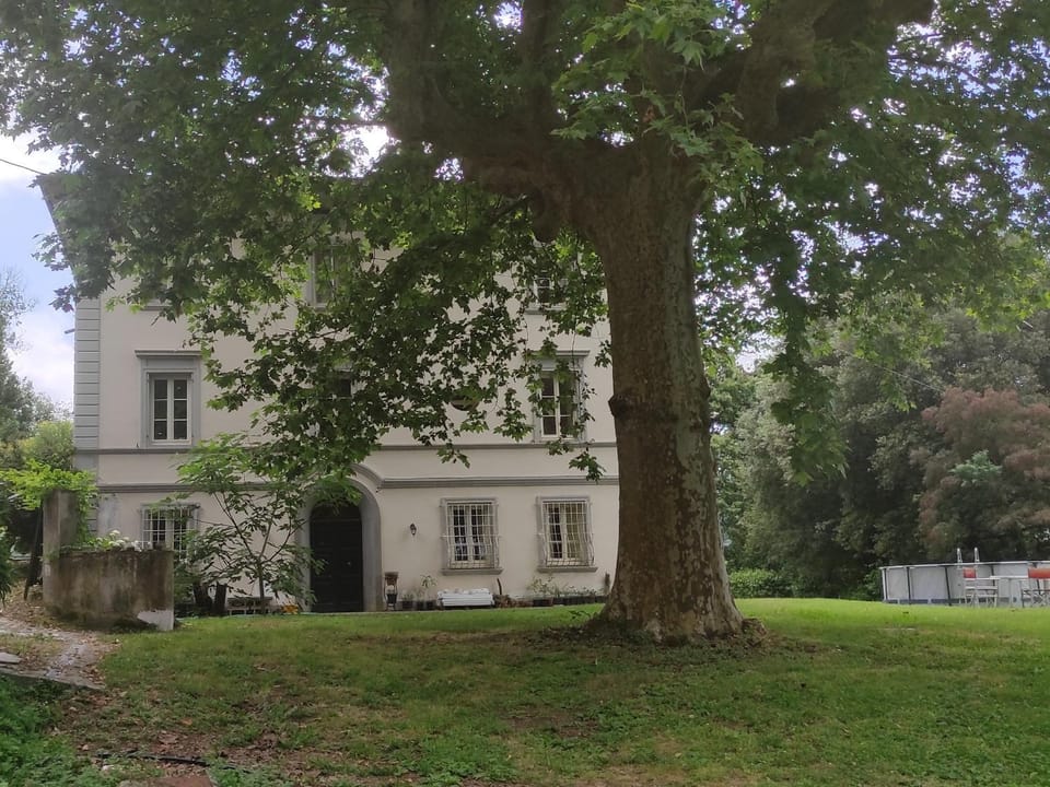 Property building, Garden view