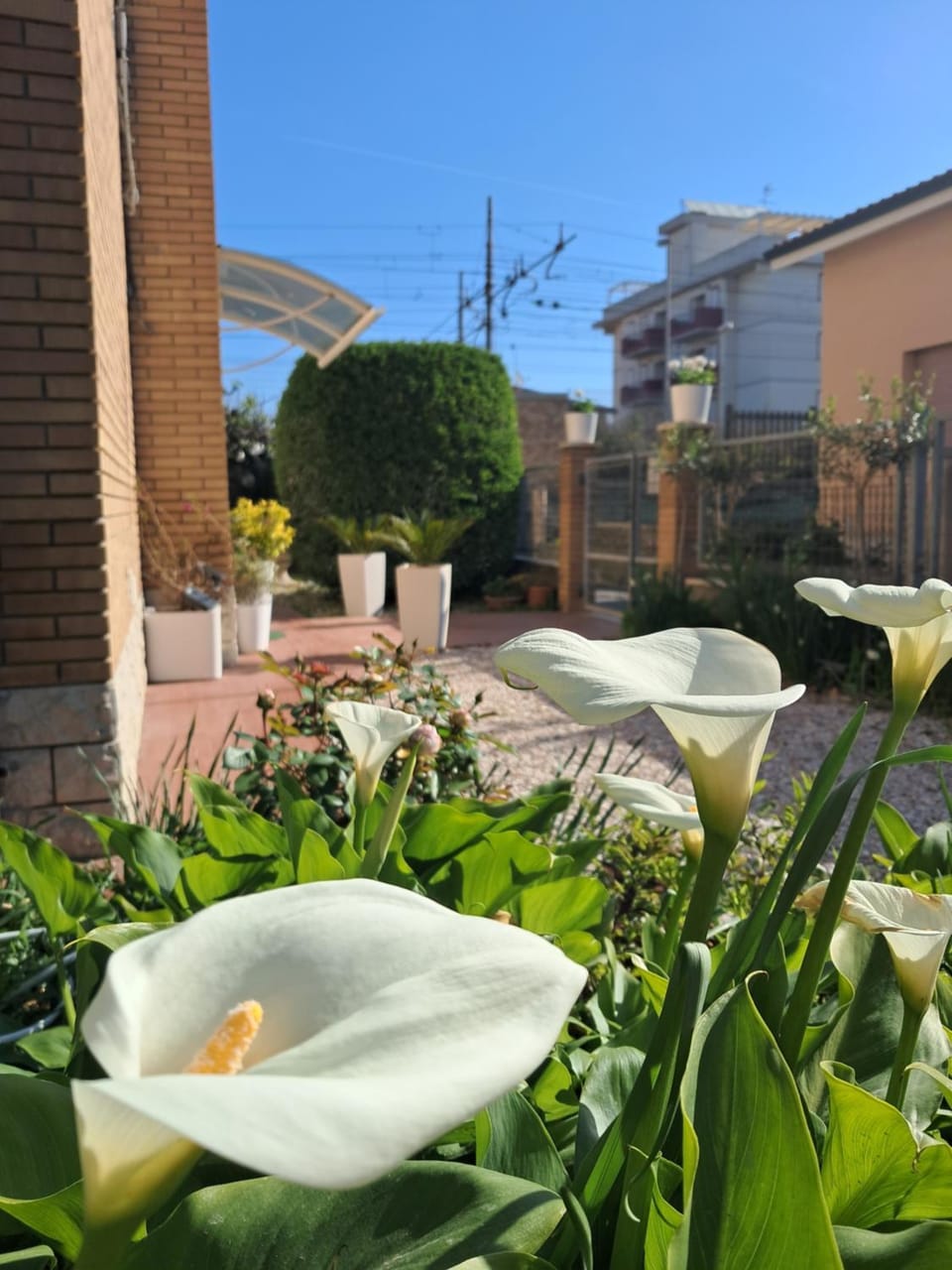 Bouganvillea Bed and Breakfast in Senigallia