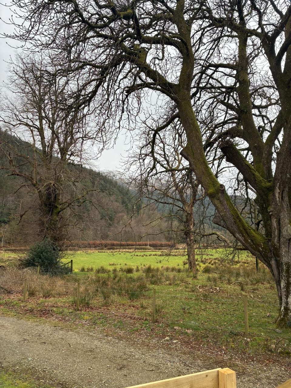 View (from property/room), Mountain view
