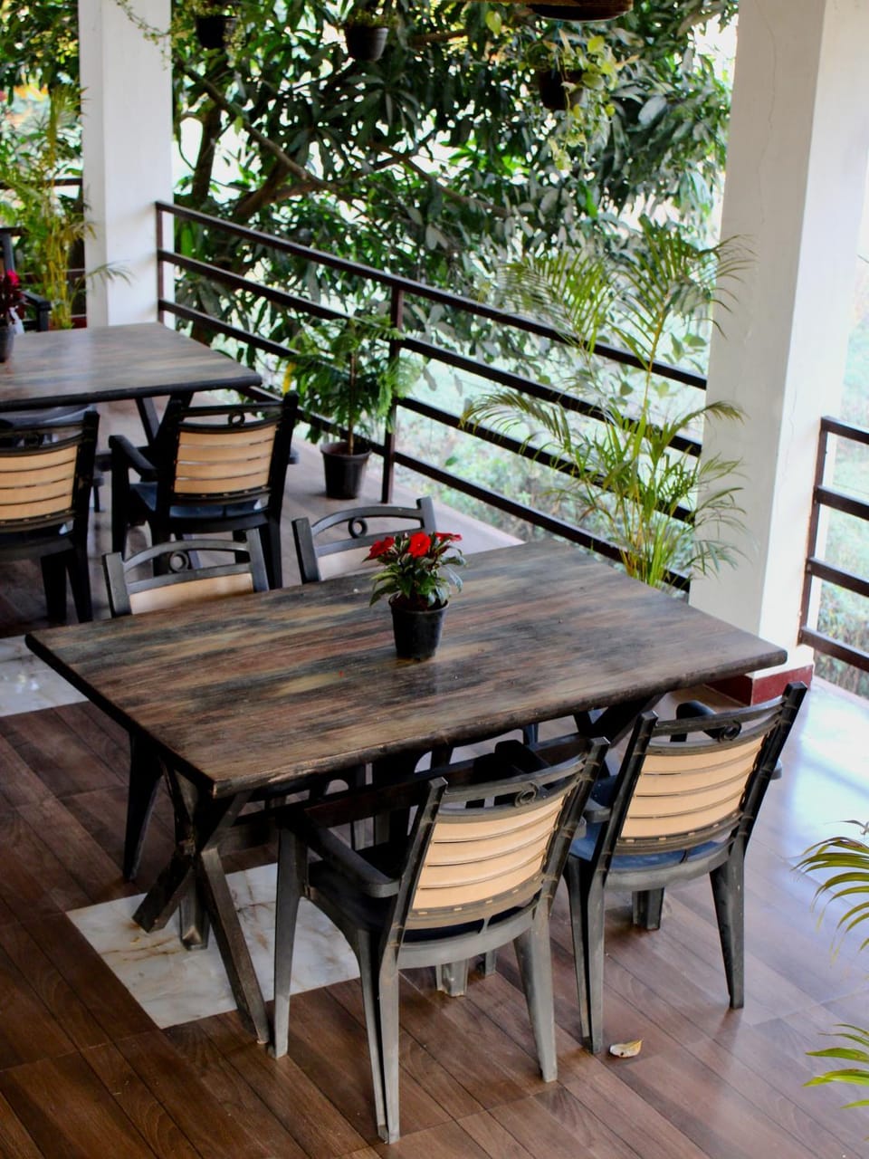 Jimmy's cottage Nature lodge in Maharashtra