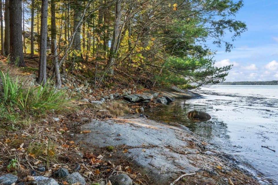 Natural landscape, River view