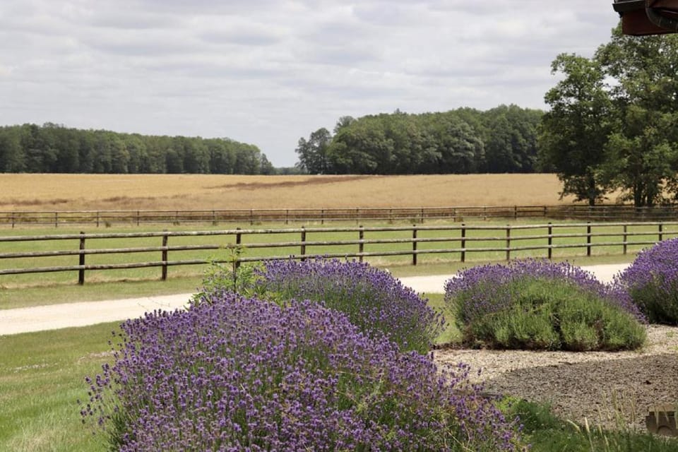Pods & tonneaux du Haras d'Oakland Campground/ 
RV Resort in Centre-Val de Loire