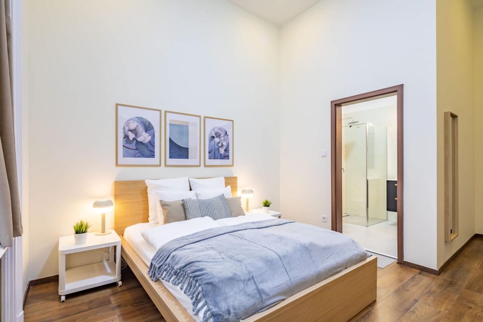Central - New - Large Apartment in Budapest