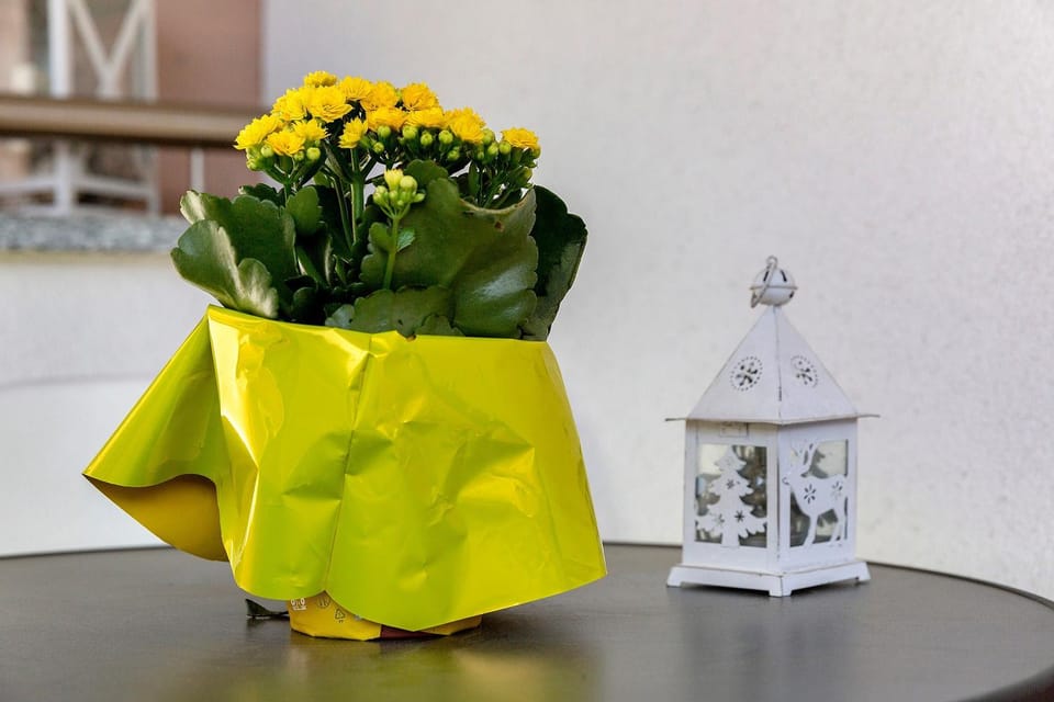Residence Leonardo Apartment in Merano