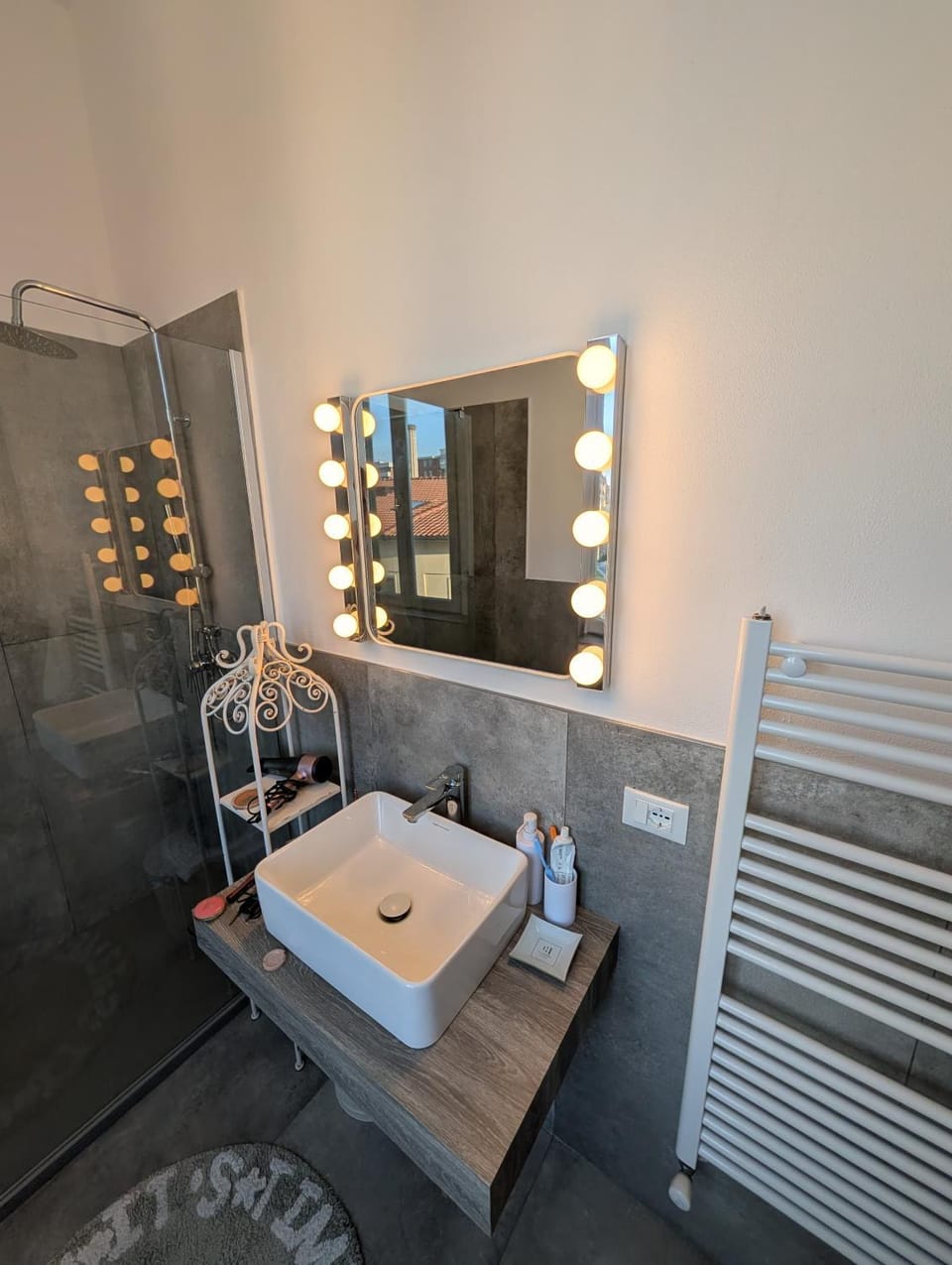 Toilet, hair dryier