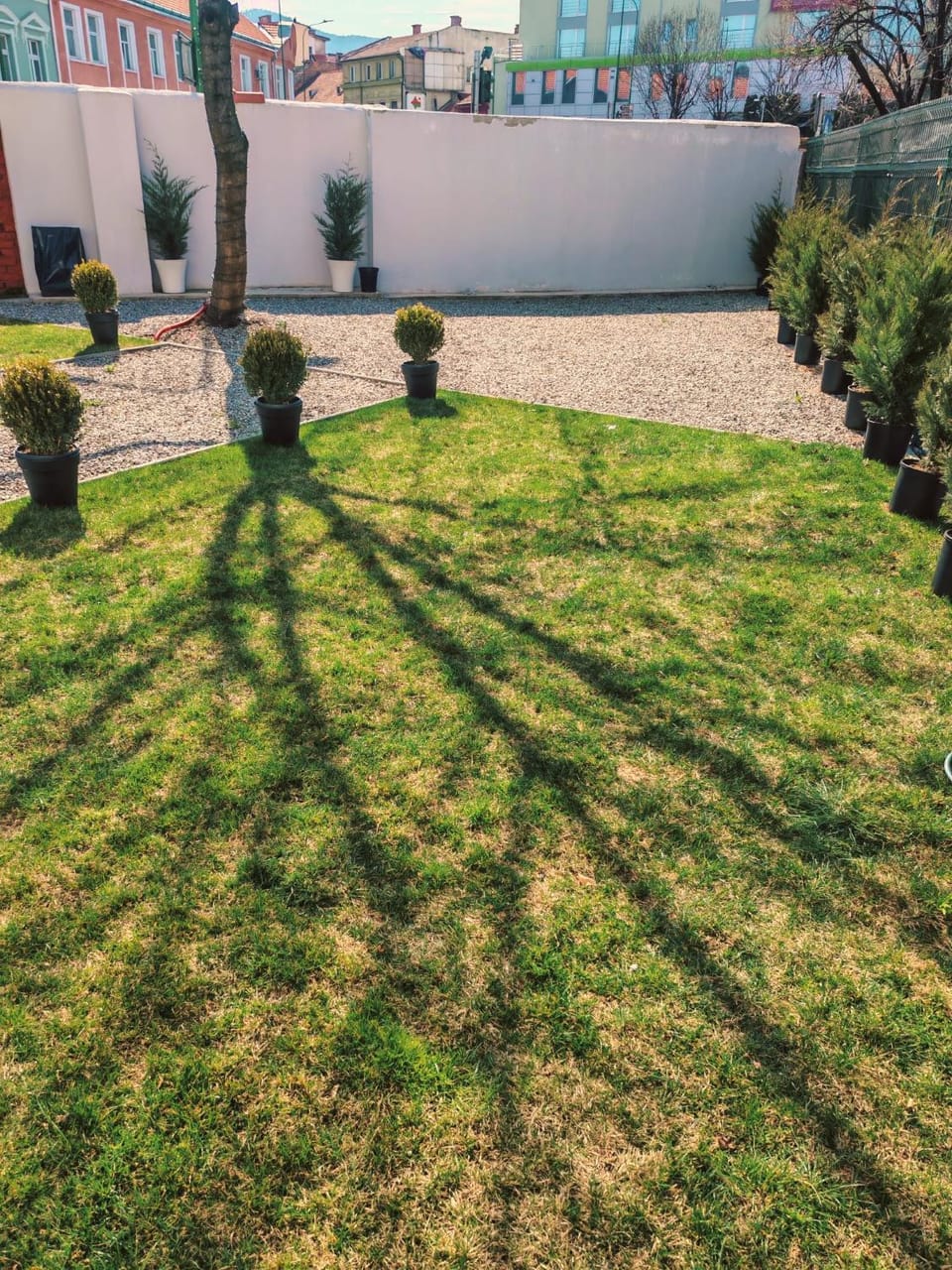 Property building, Garden