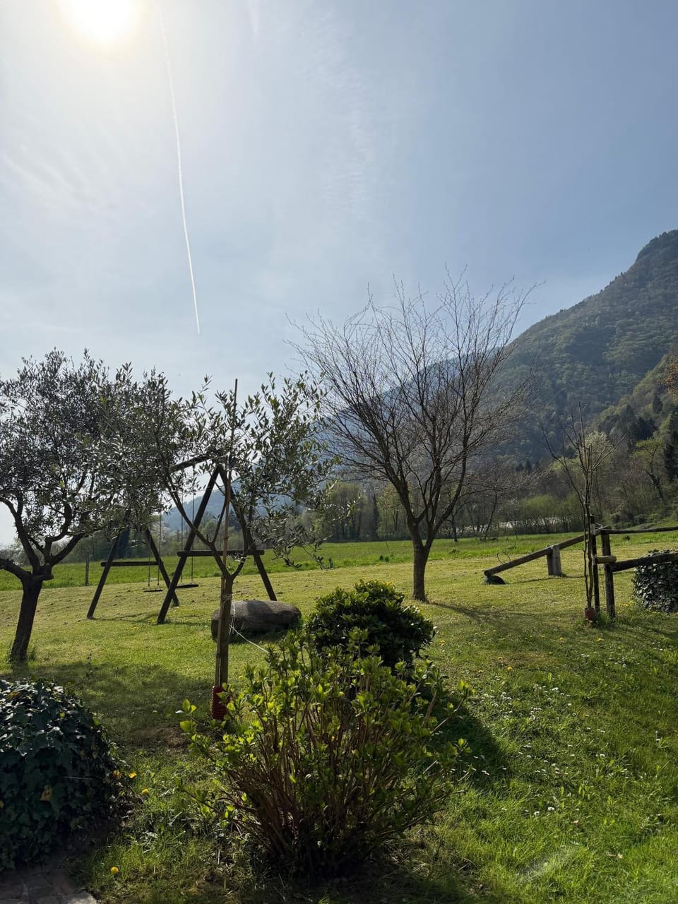 Garden view