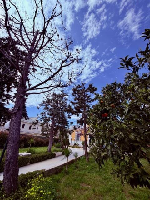 VIlla Monte D'Alba House in Apulia