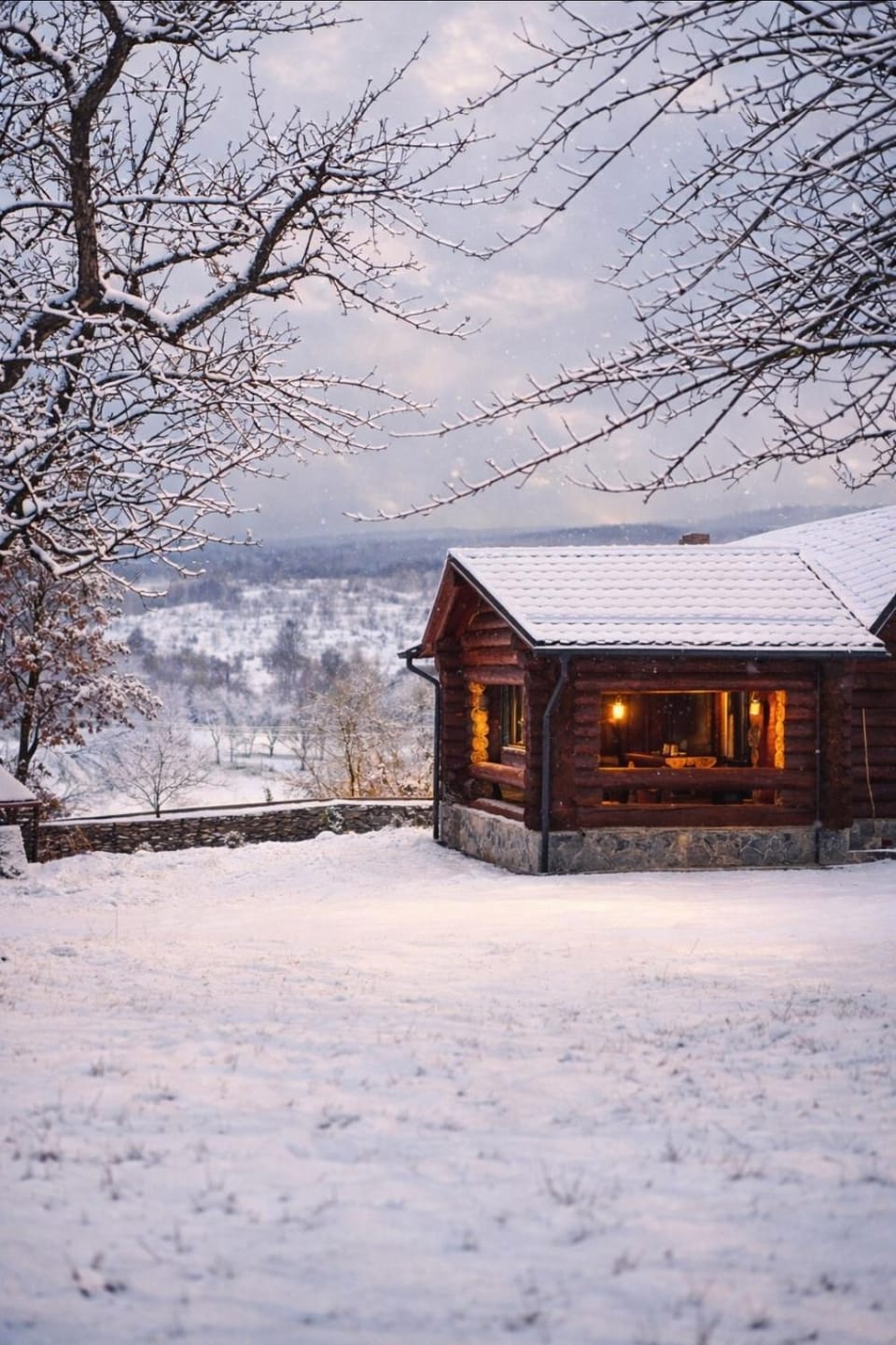 Property building, Natural landscape, Winter, Garden