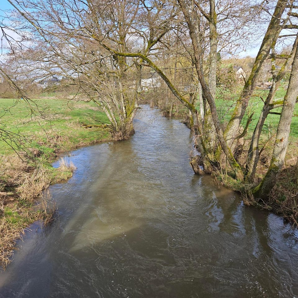 Natural landscape, River view