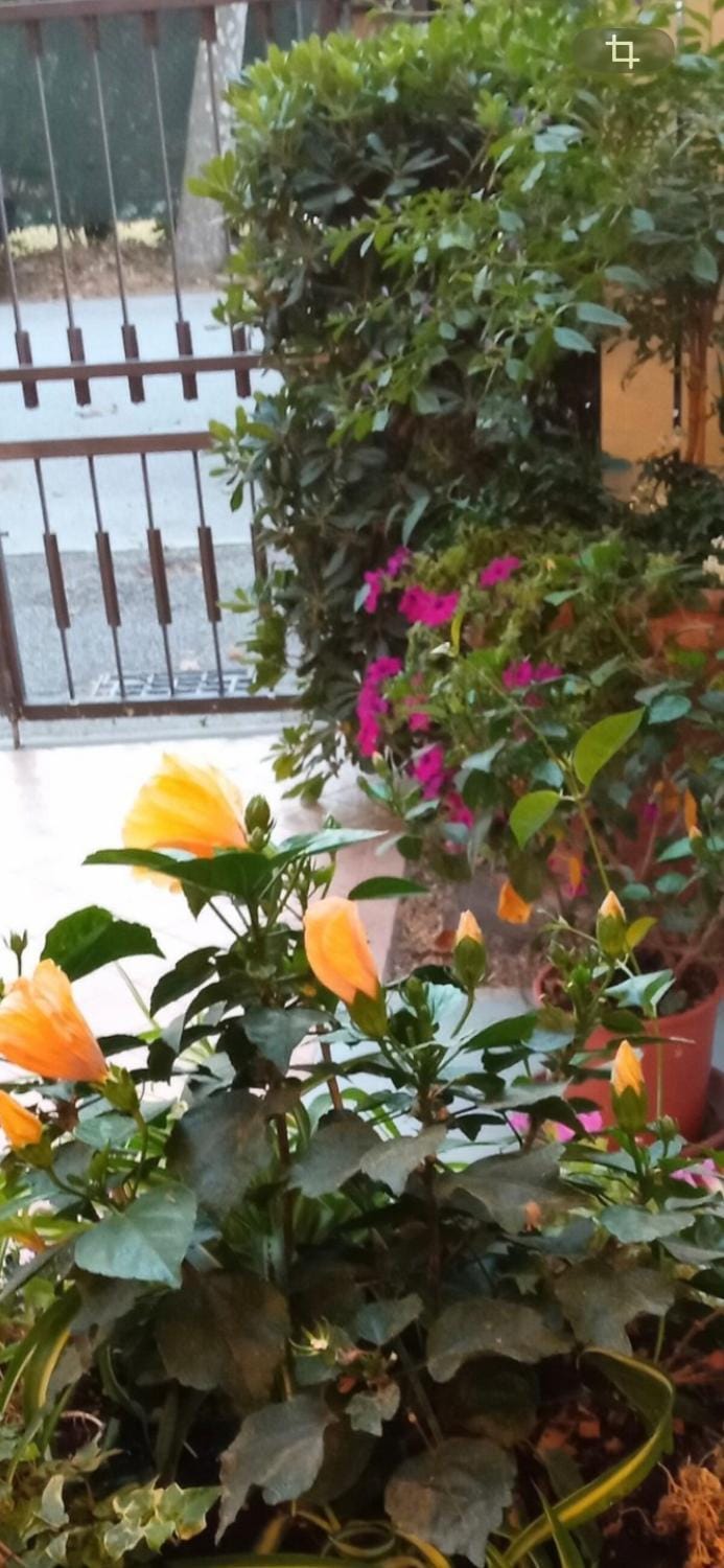 Hotel HARRY'S Hospitality Riccione-Fronte Mare Hotel in Riccione