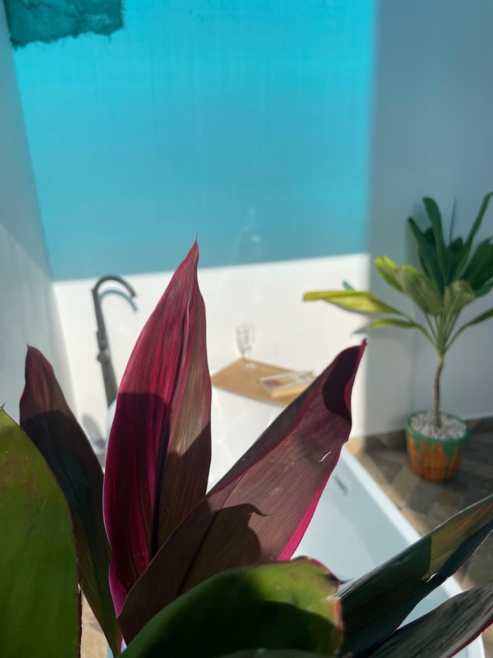 Garden, Hot Tub