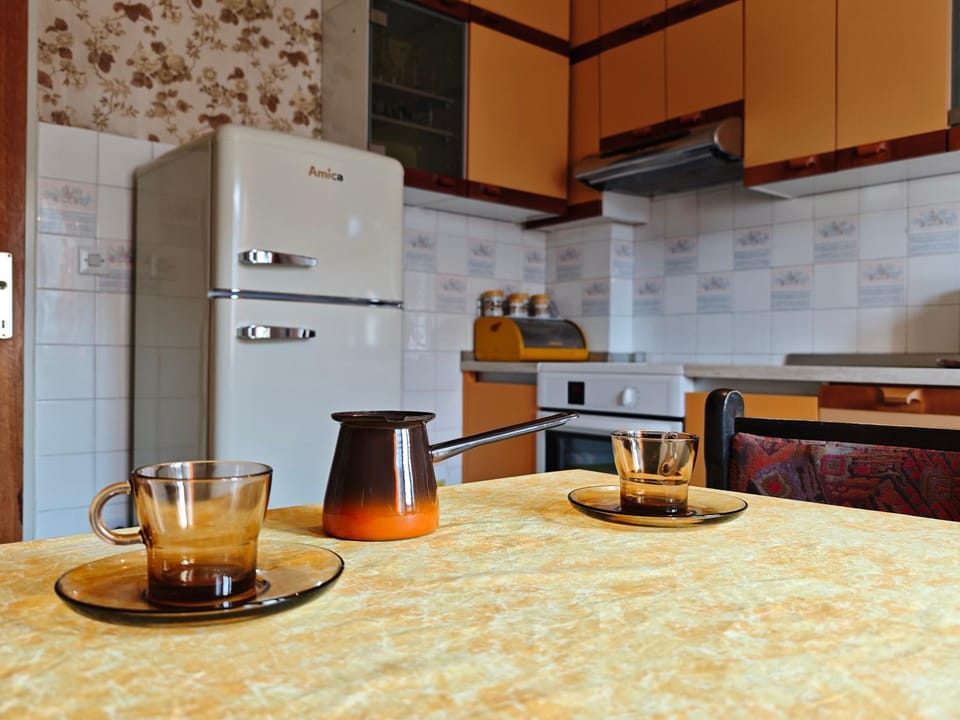 Vintage apartment Erjavec Apartment in Carinthia, Austria