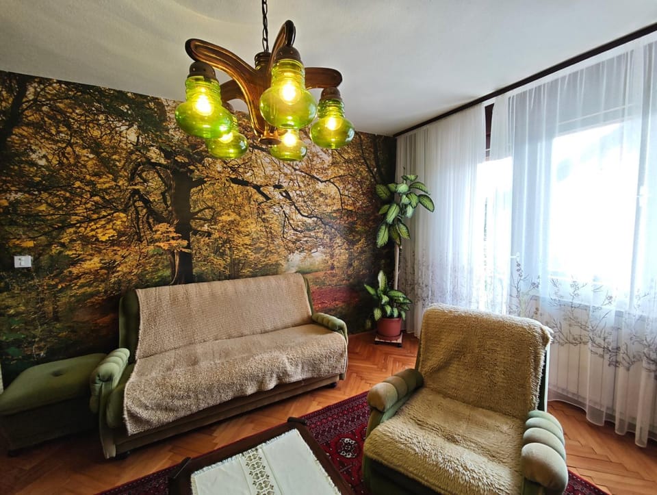 Vintage apartment Erjavec Apartment in Carinthia, Austria