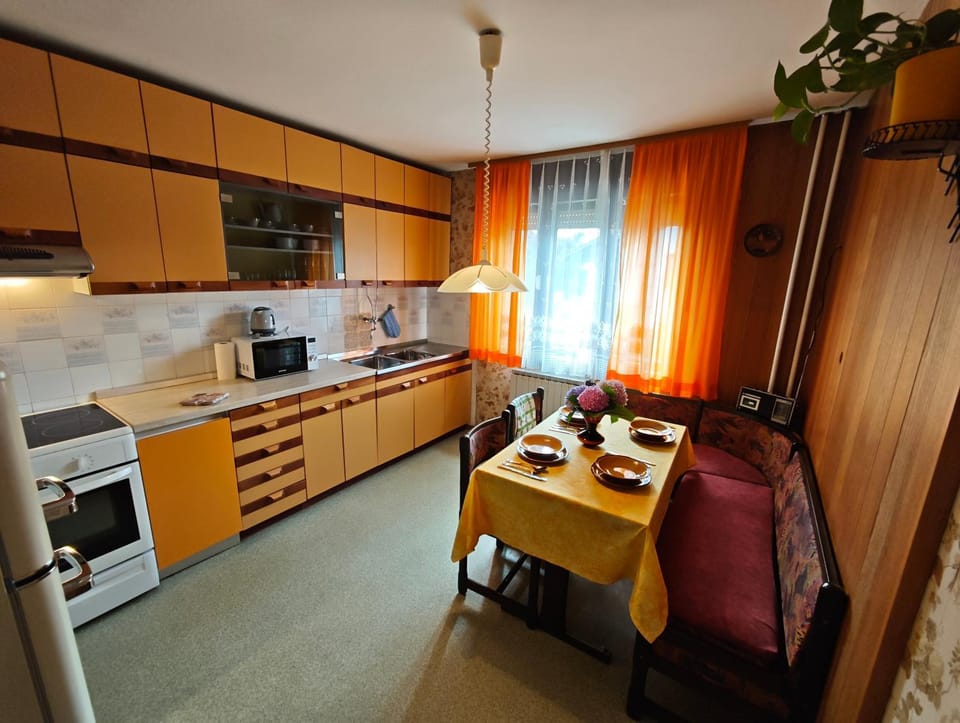 Vintage apartment Erjavec Apartment in Carinthia, Austria