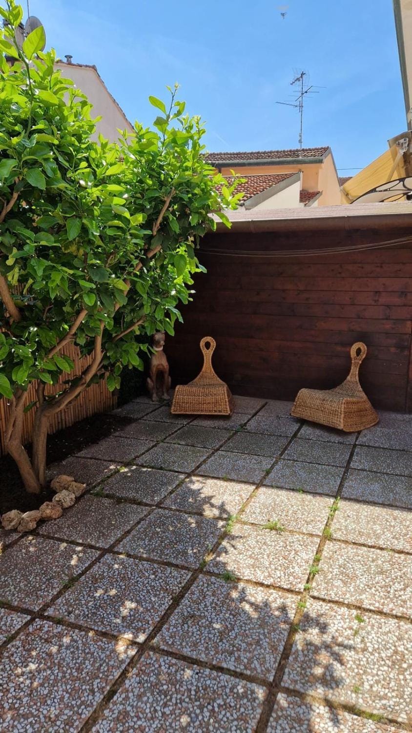 Garden, Garden