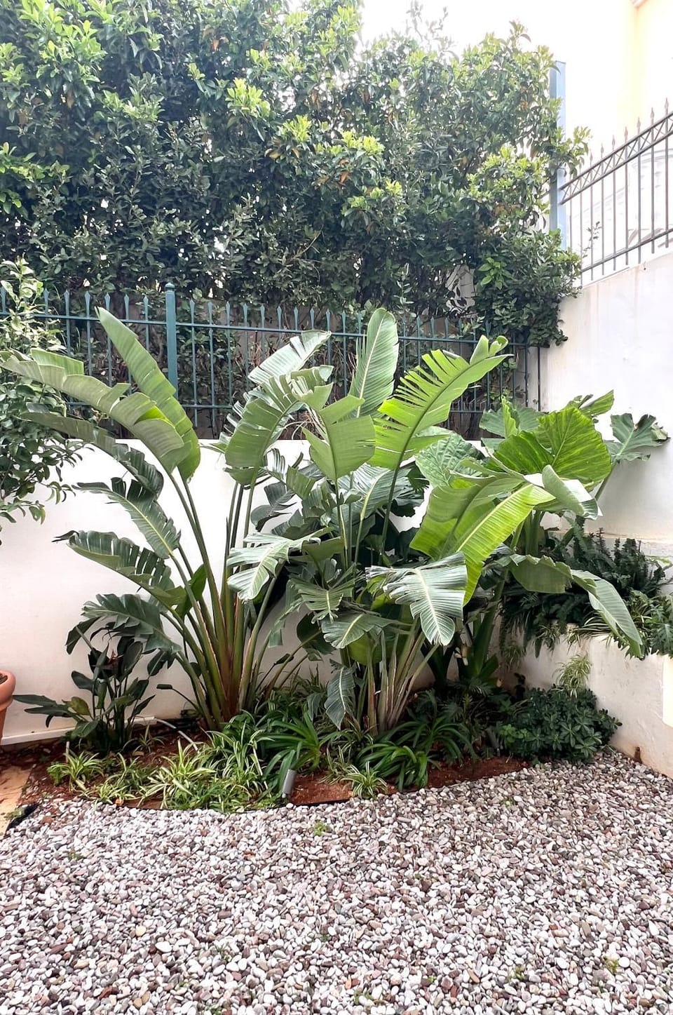 Garden view