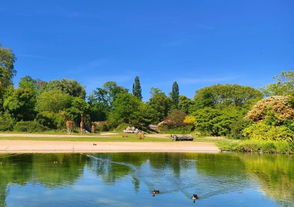 Nearby landmark, Natural landscape