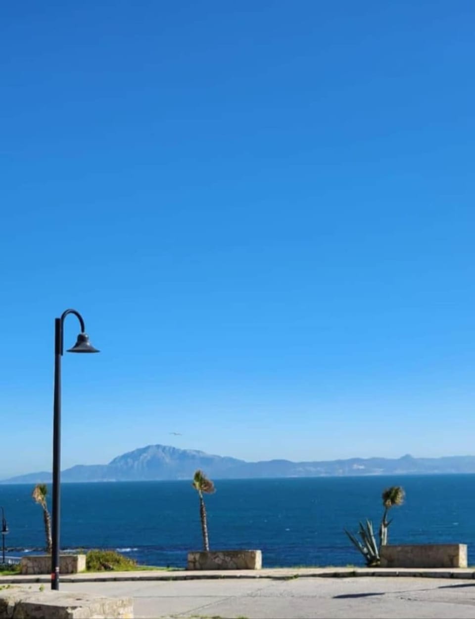 Nearby landmark, Neighbourhood