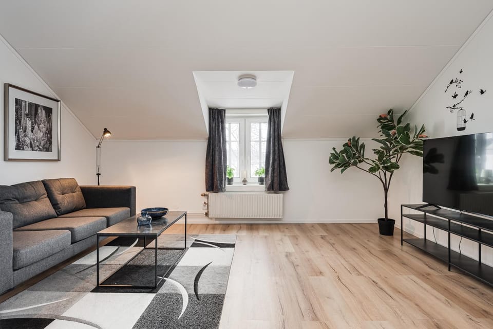 TV and multimedia, Living room
